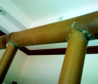 How To Remove Bamboo Mold Guadua Bamboo