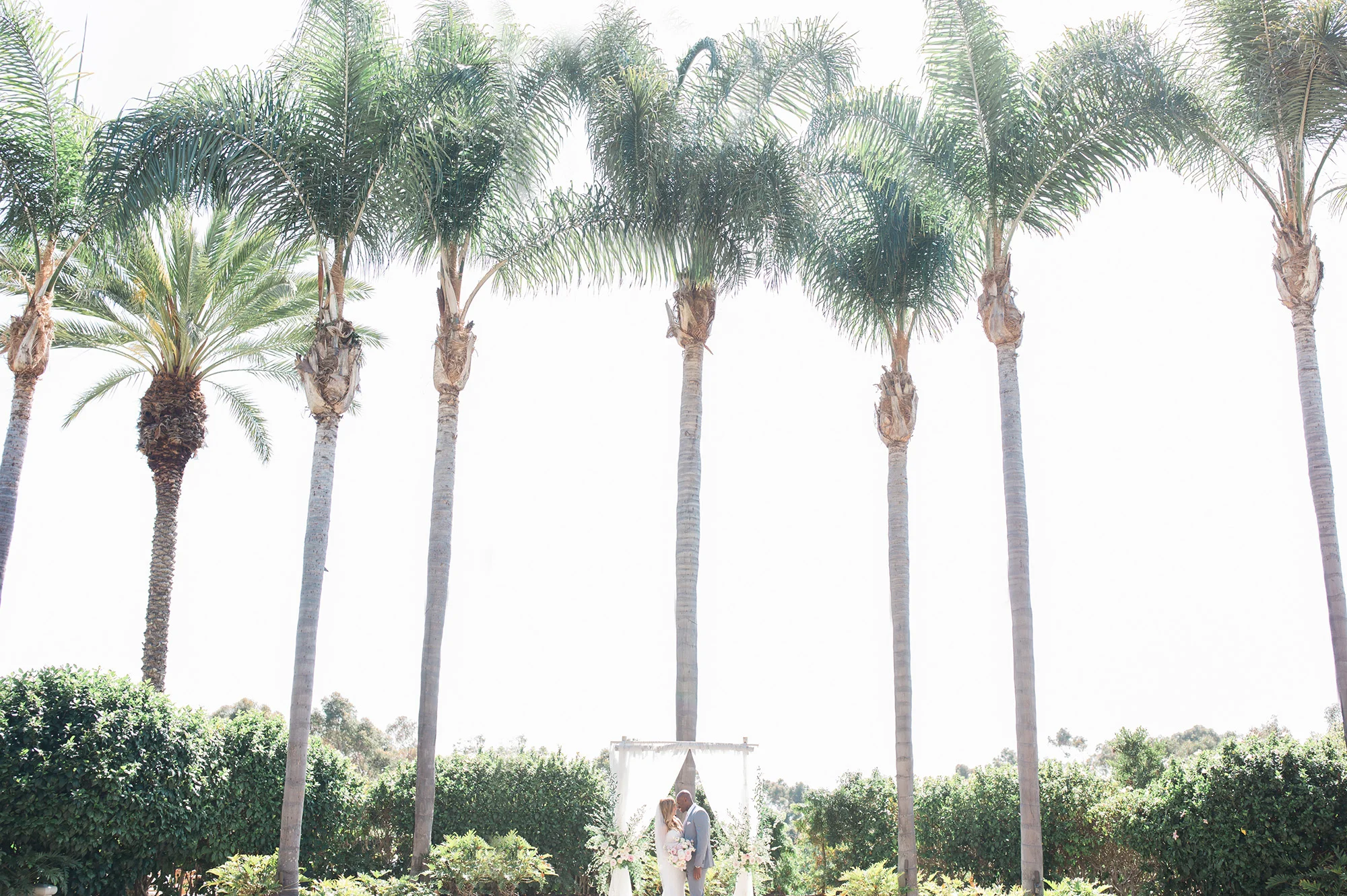 Park Hyatt Aviara Wedding Photographer Leah Vis 25.jpg