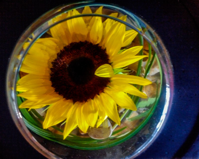 17th Annual Evening of Remembrance