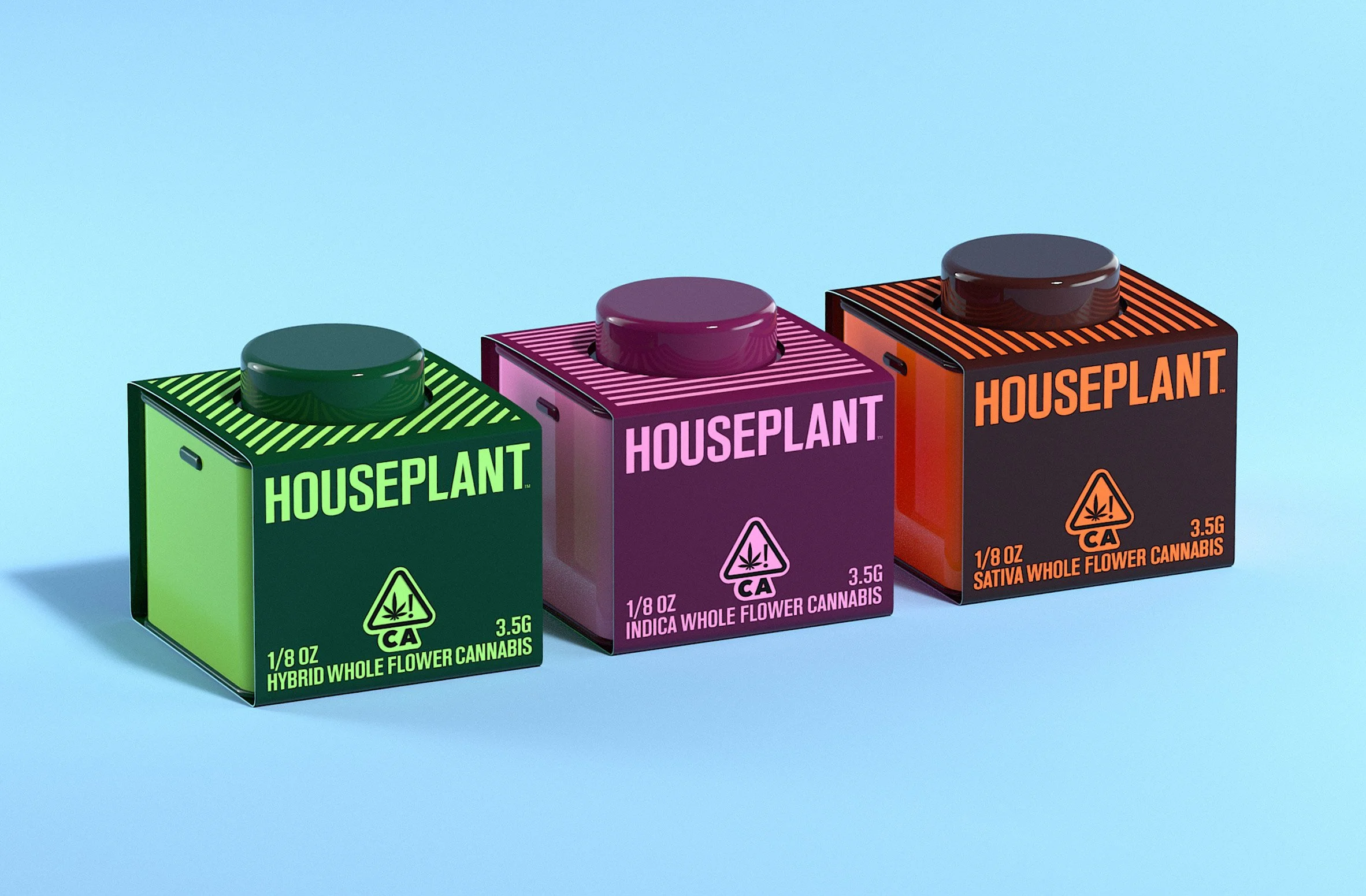 Houseplant -- naming