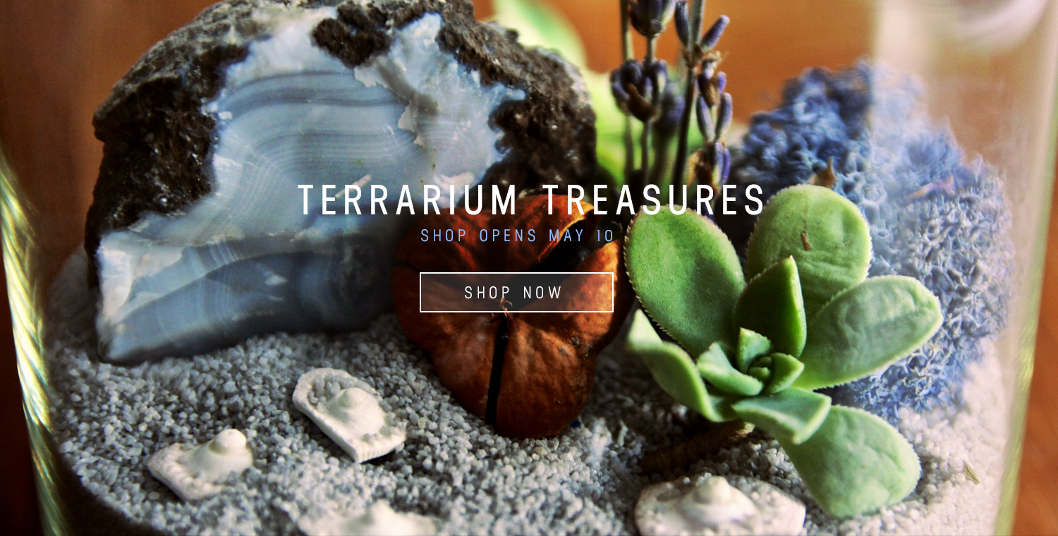 Terrarium Shop