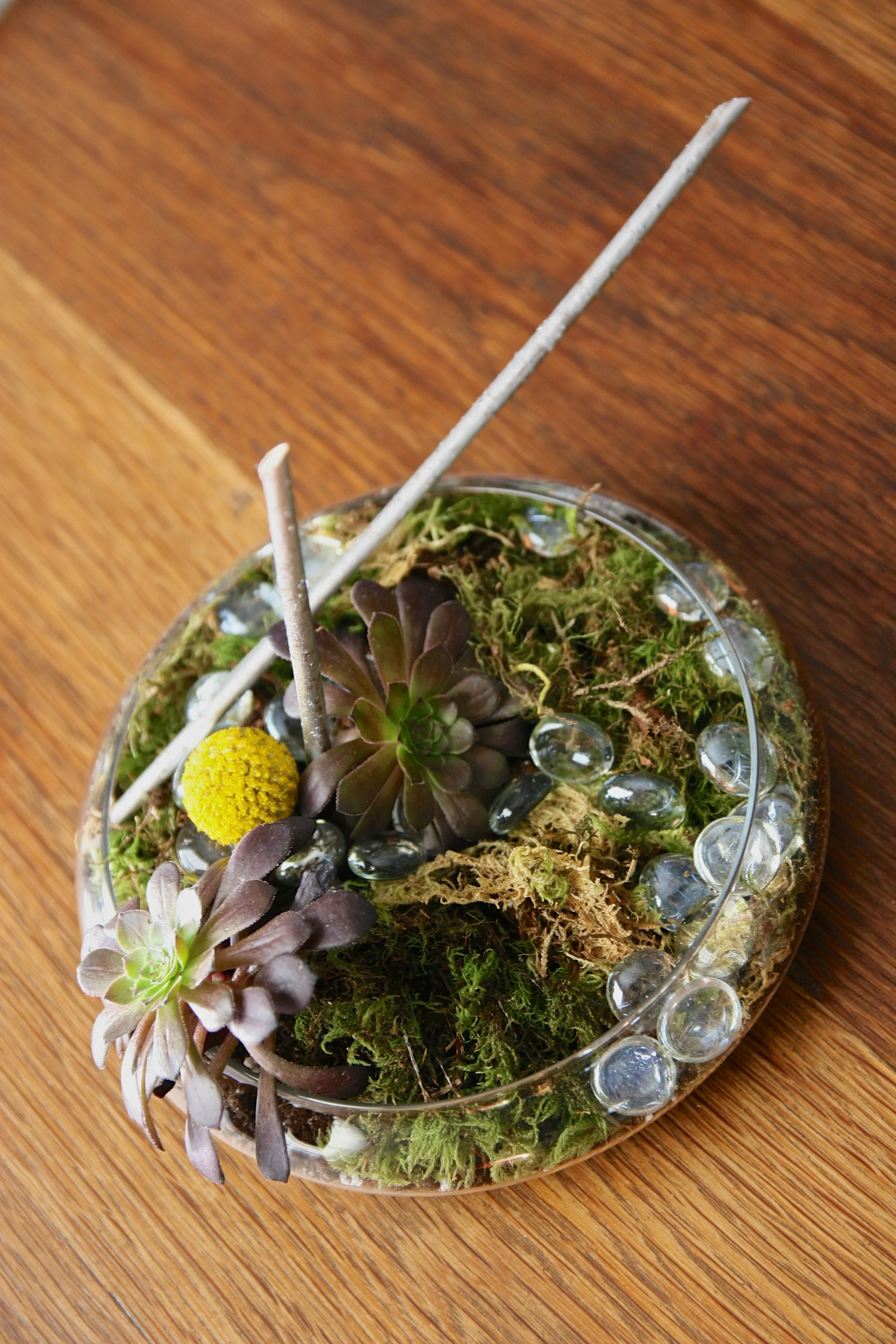 succulent glass potted$40 4.jpg