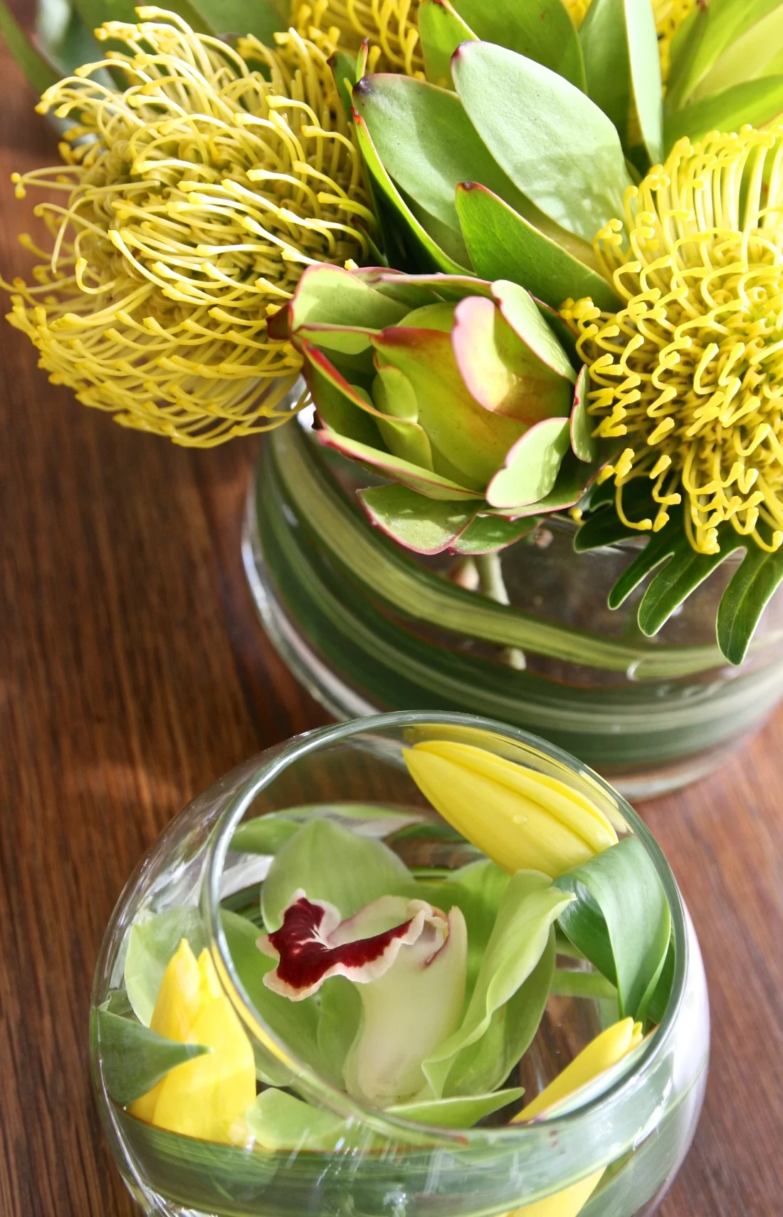 Tropical Exotics Party package from $125 and up 3.jpg