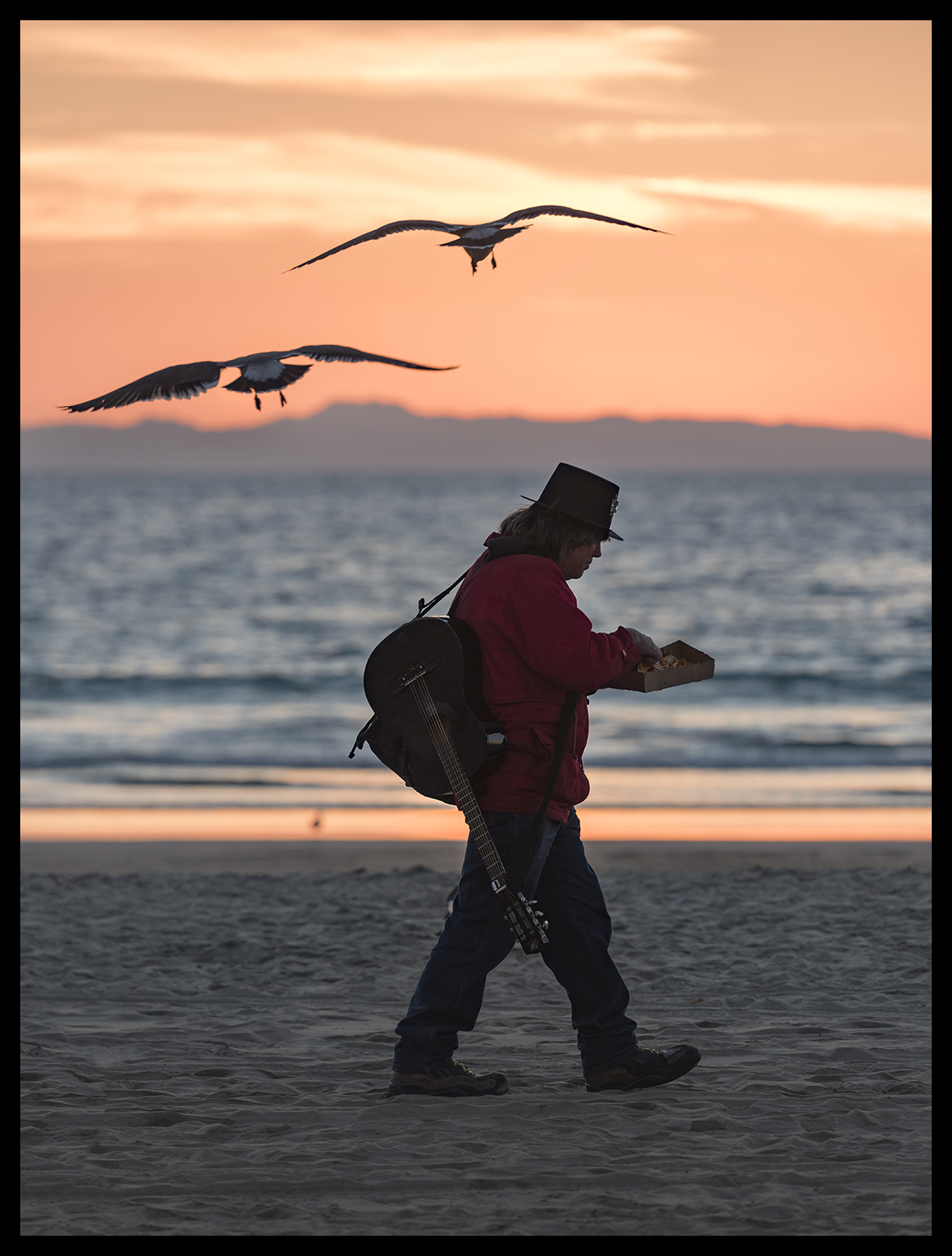 Guitarist and Birds