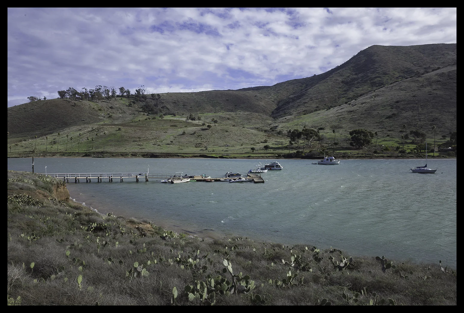 Catalina Harbor