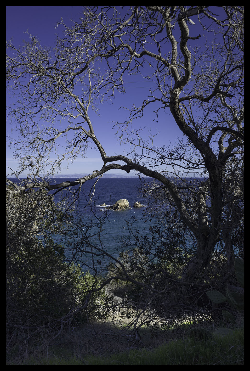 GR_R010879.jpg