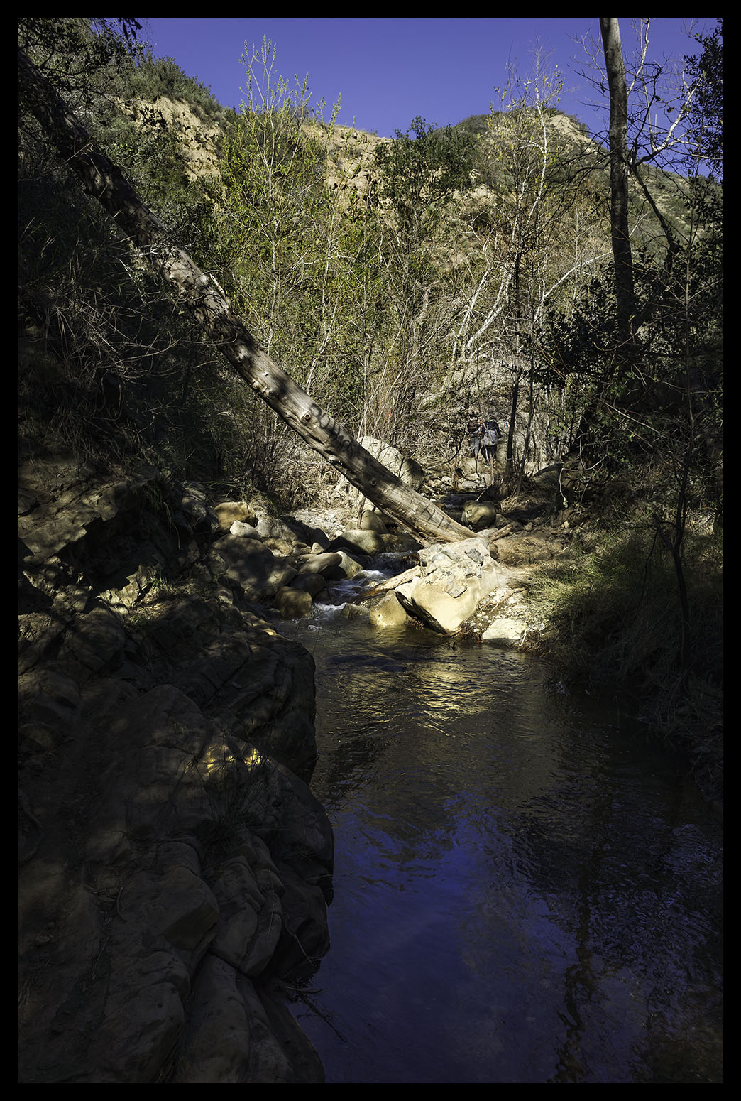 gr_R010983.jpg