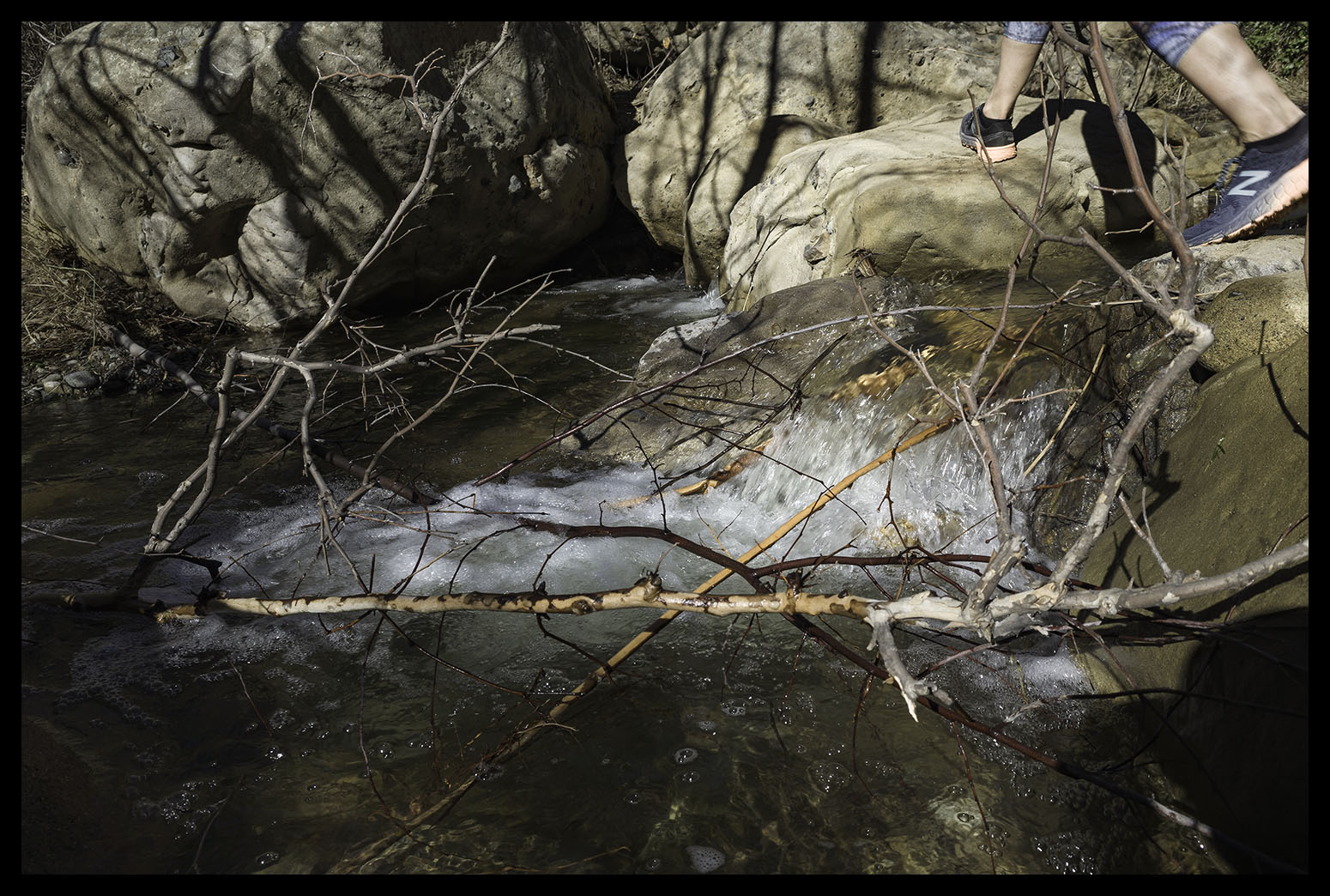 gr_R010985.jpg