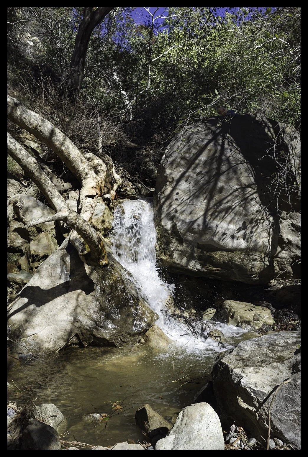 gr_R011029.jpg