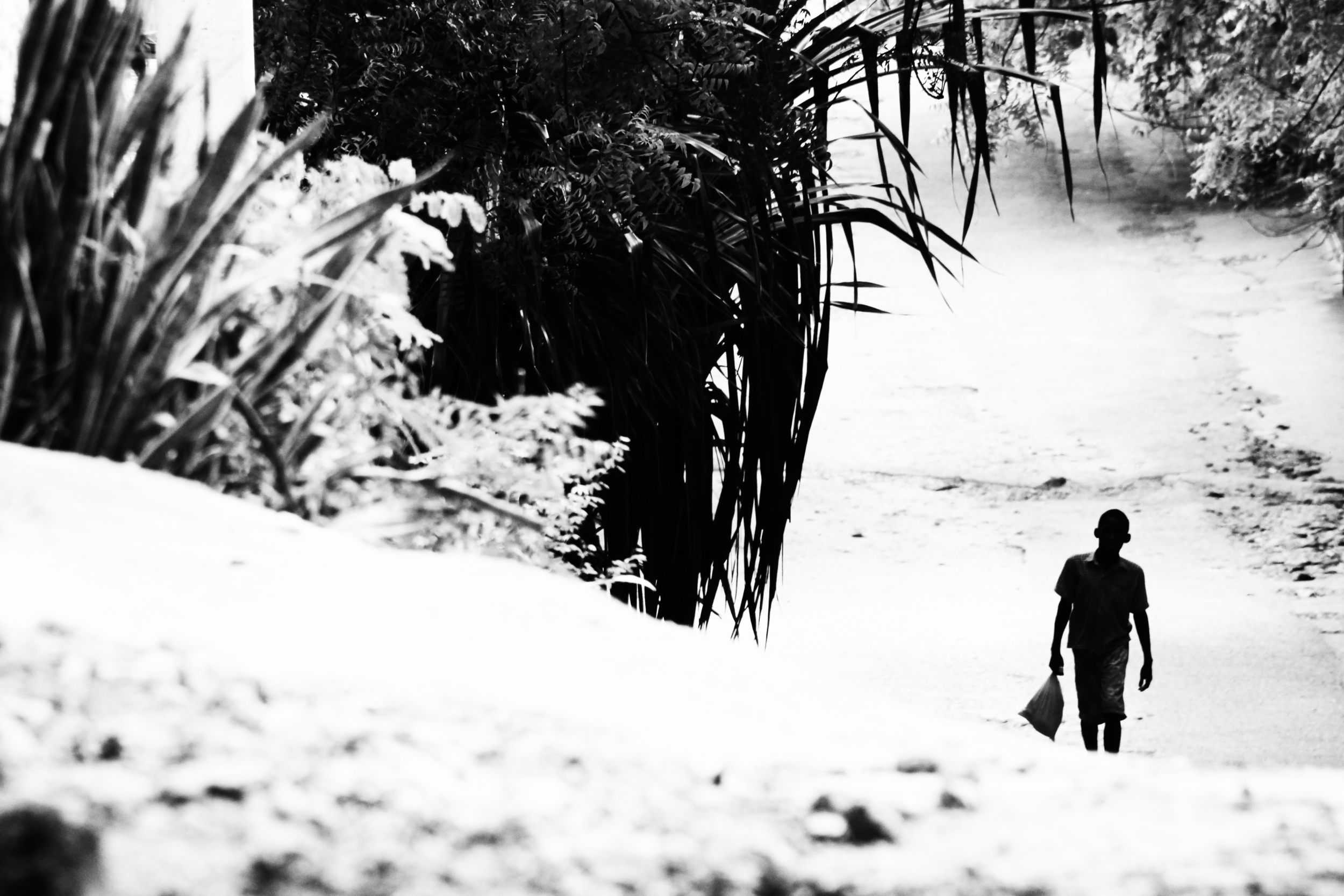 Long Walk