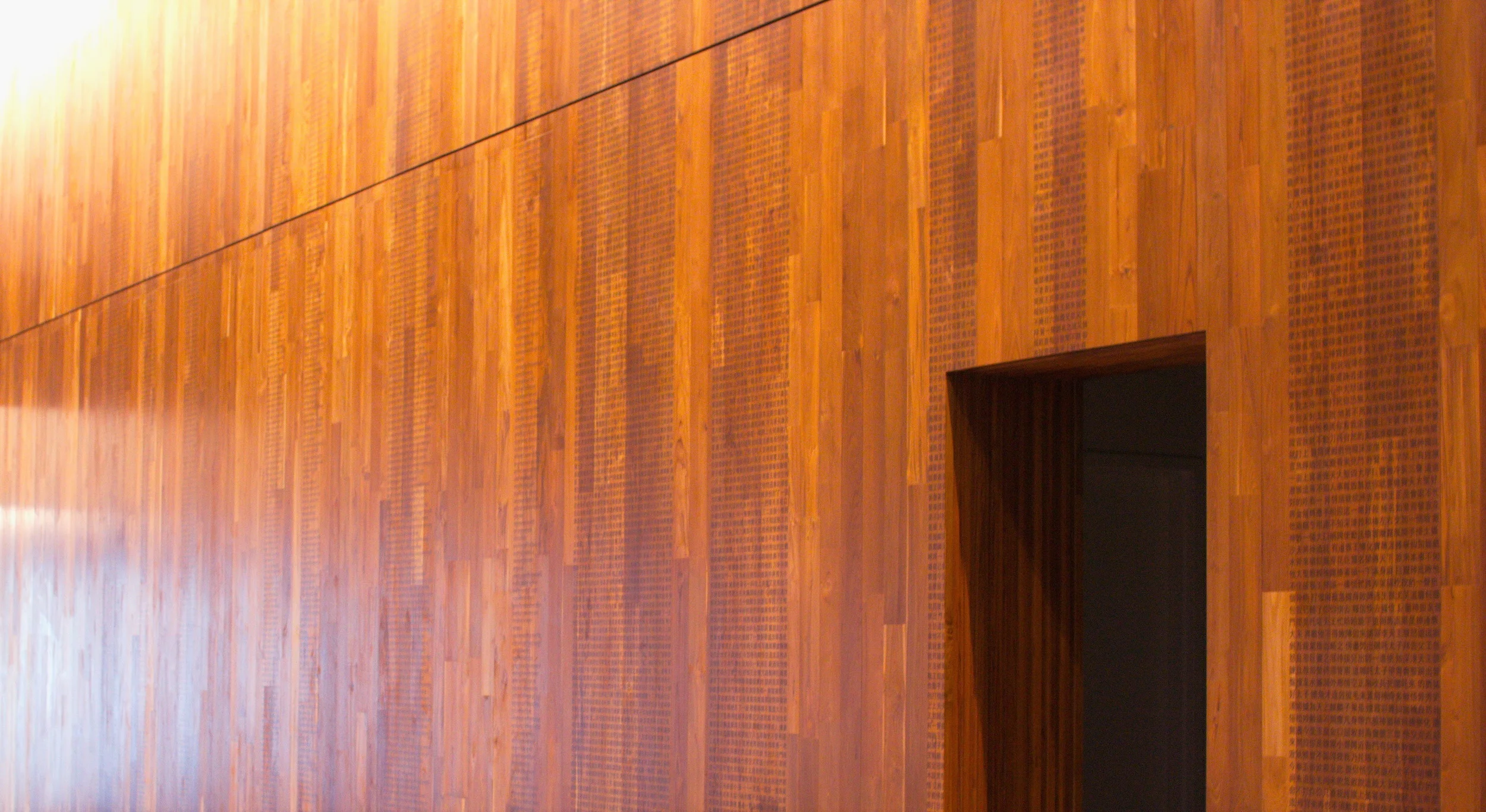 amazon doppler B14 literature wall a.jpg