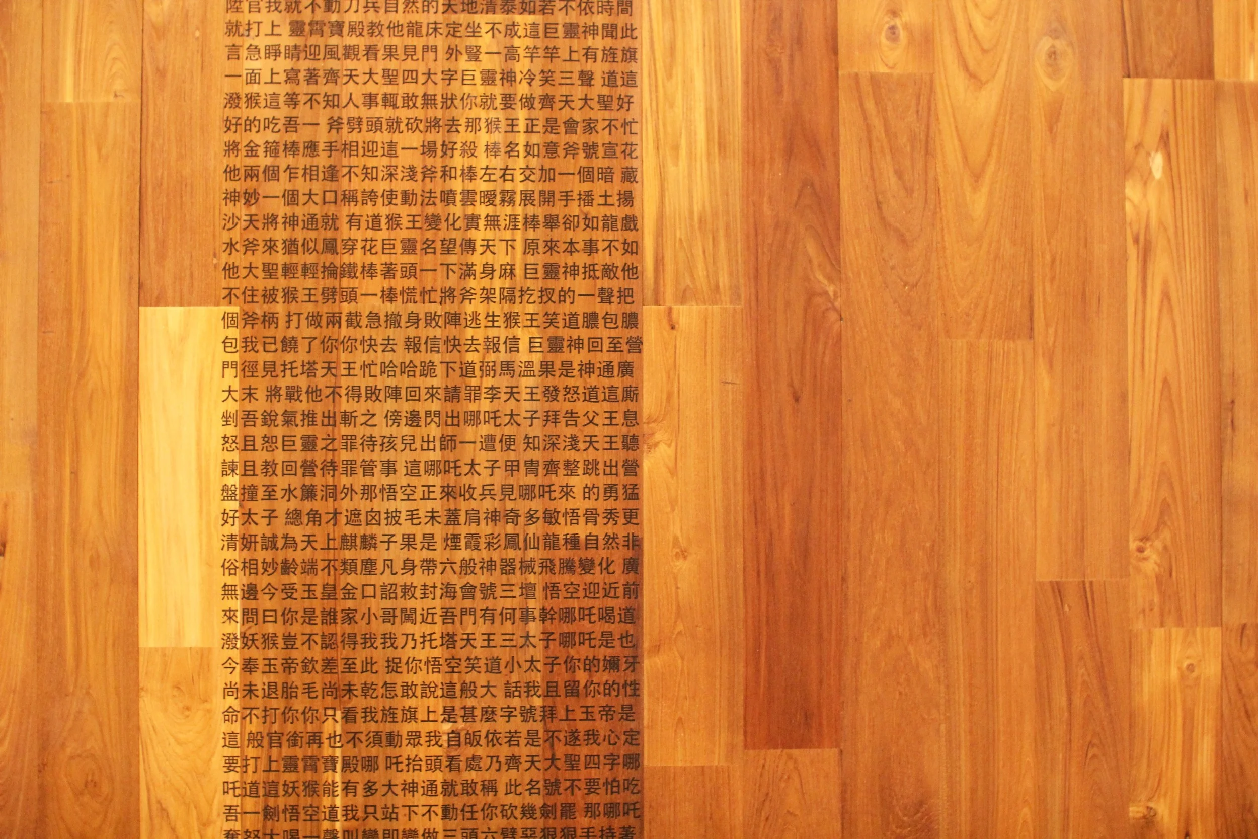 amazon doppler B14 literature wall c.JPG