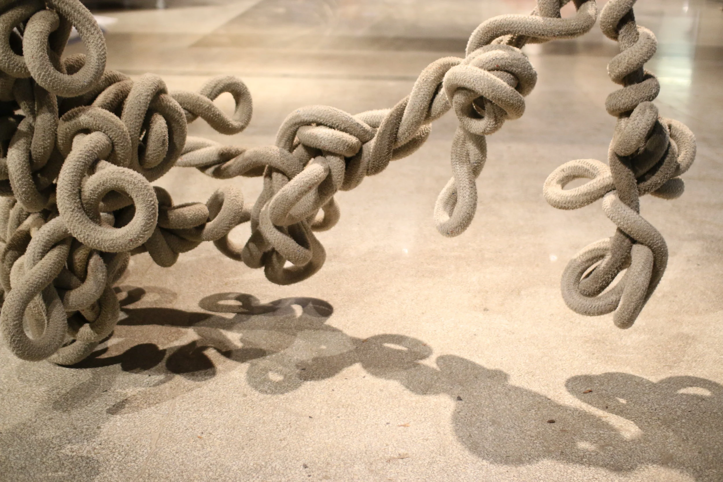 rope IMG_2126 (1).JPG