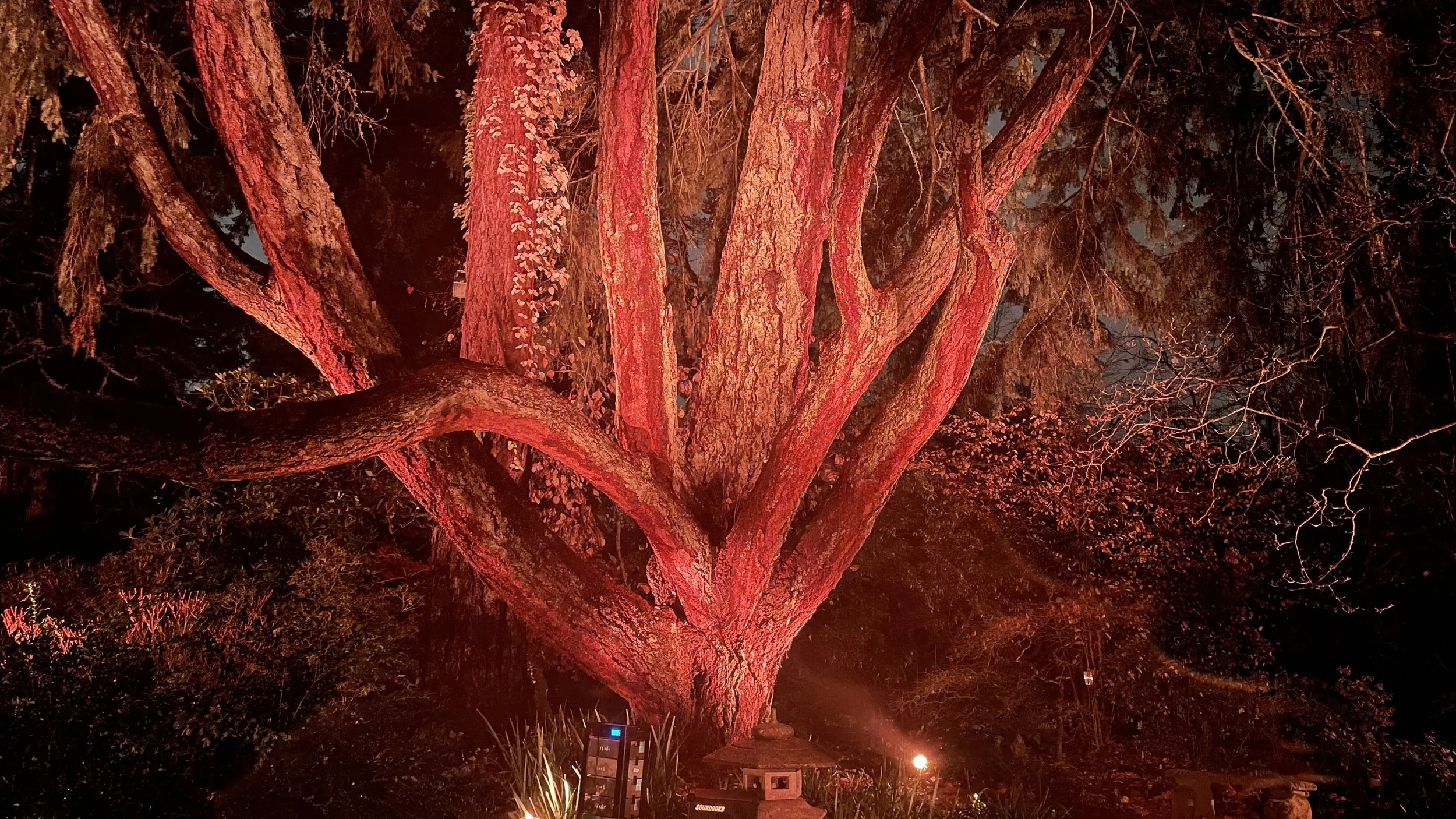 lakewold IMG_0727.JPG