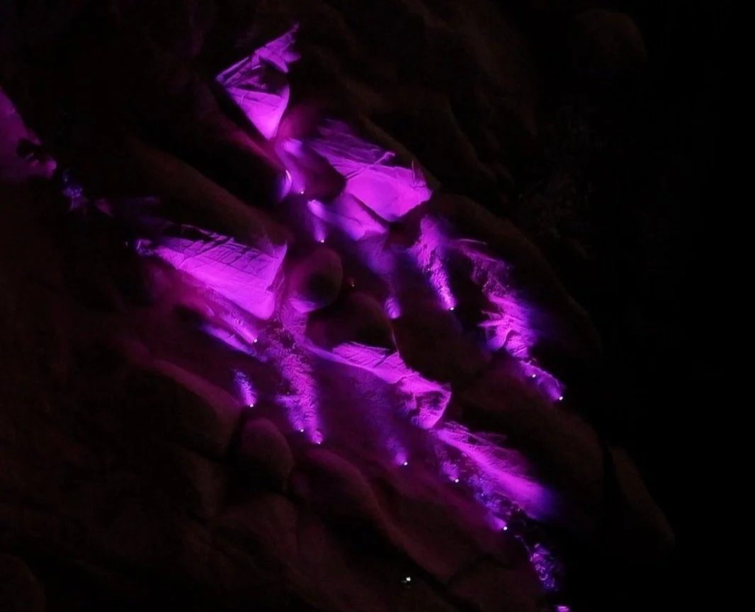 Samuel Stubblefield Red Sea Tests Sequence 01.00_02_03_28.Still007 (4).jpg