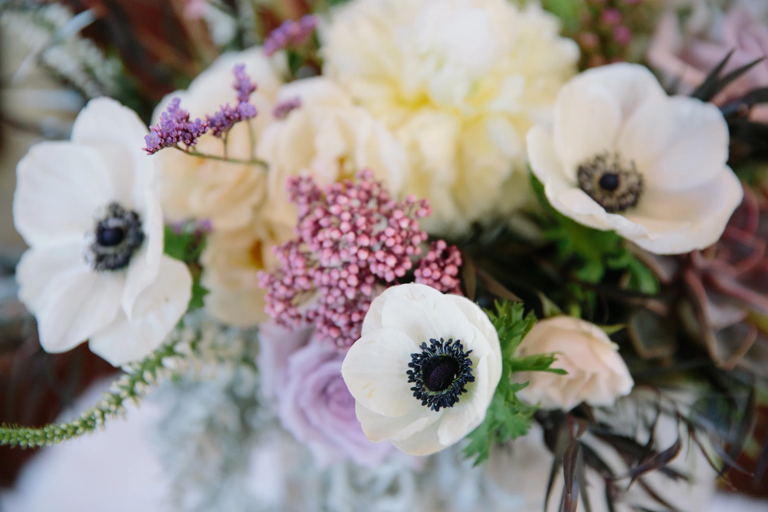 encinitasflorist.jpg
