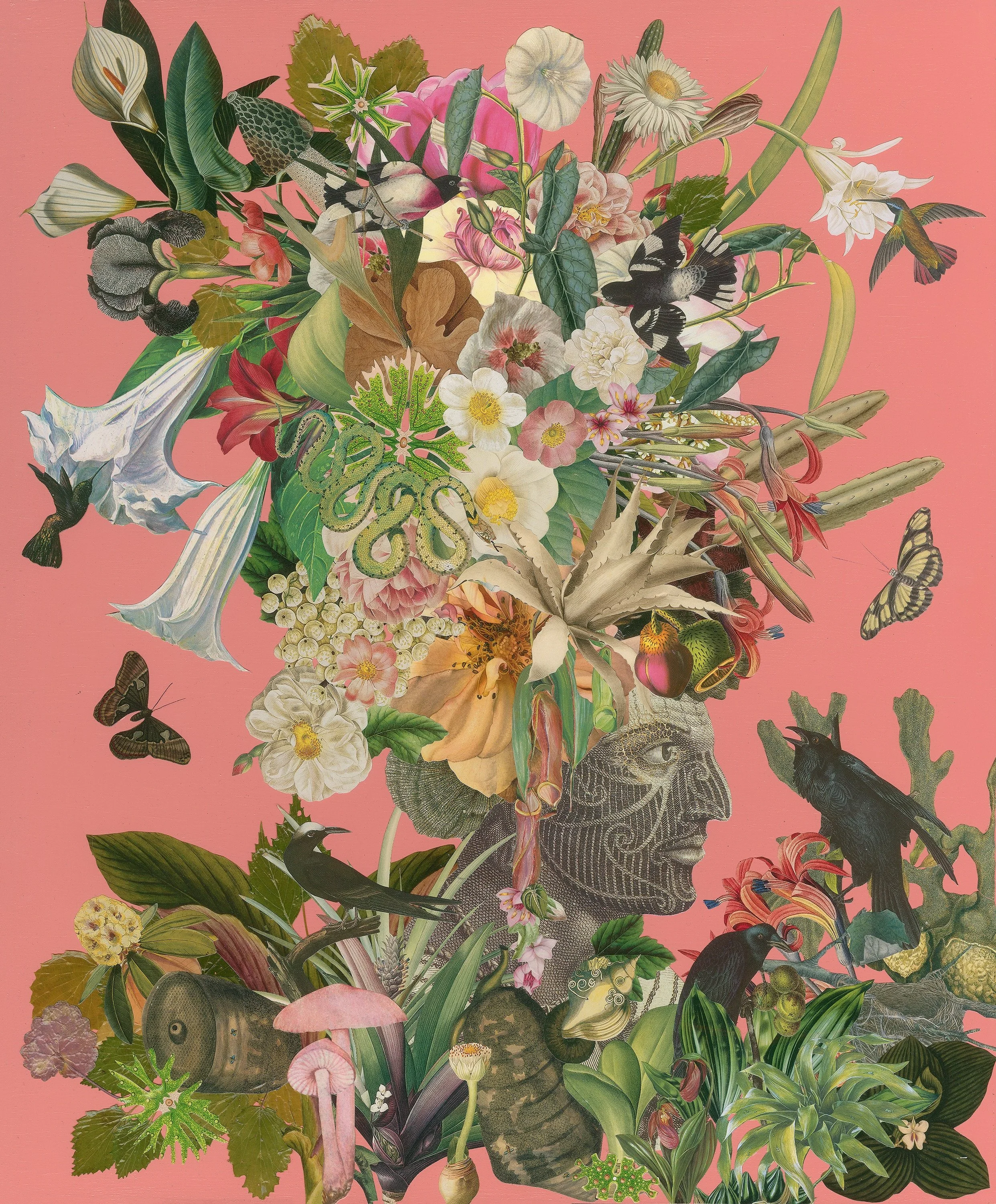 Dominique Pfahl Art Exhibit