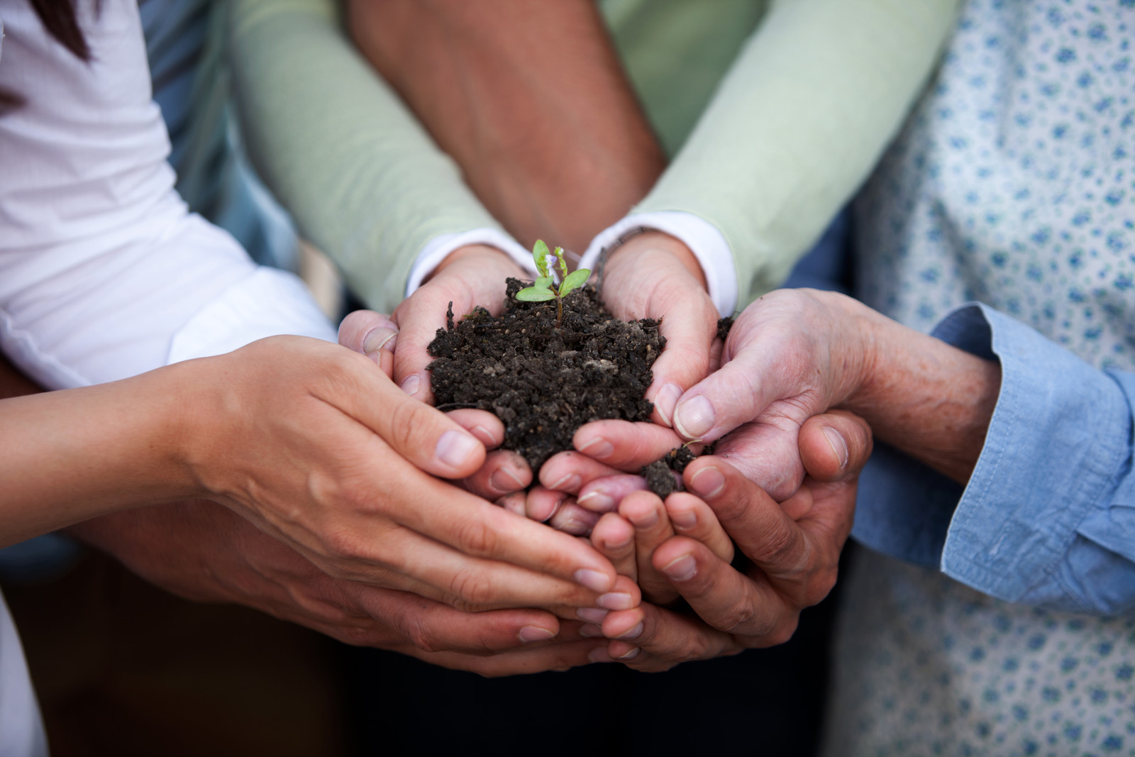 canstockphoto7719223.jpg