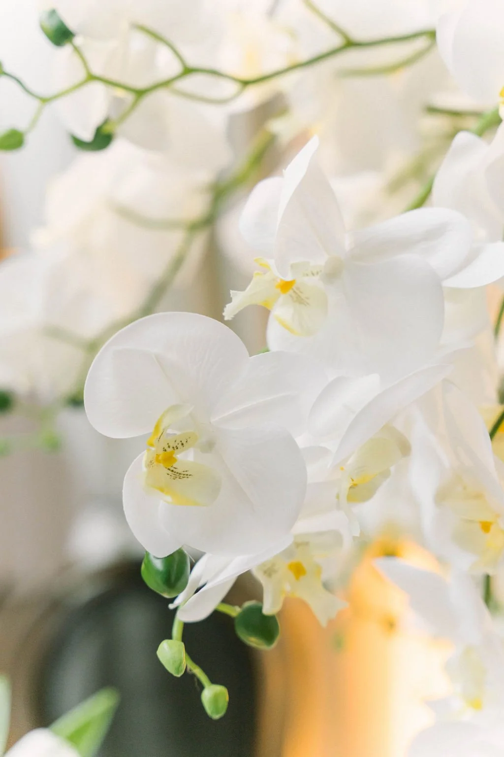 Ellen-Ashton-Photography-Dallas-Wedding-Photographers-Olivia-Hoover-Events-Planner770.jpg