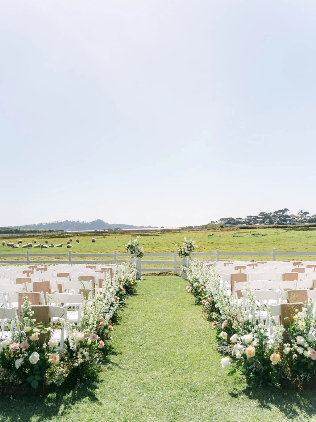 Ellen-Ashton-photography-Carmel-by-the-sea-wedding-photographer371.jpg