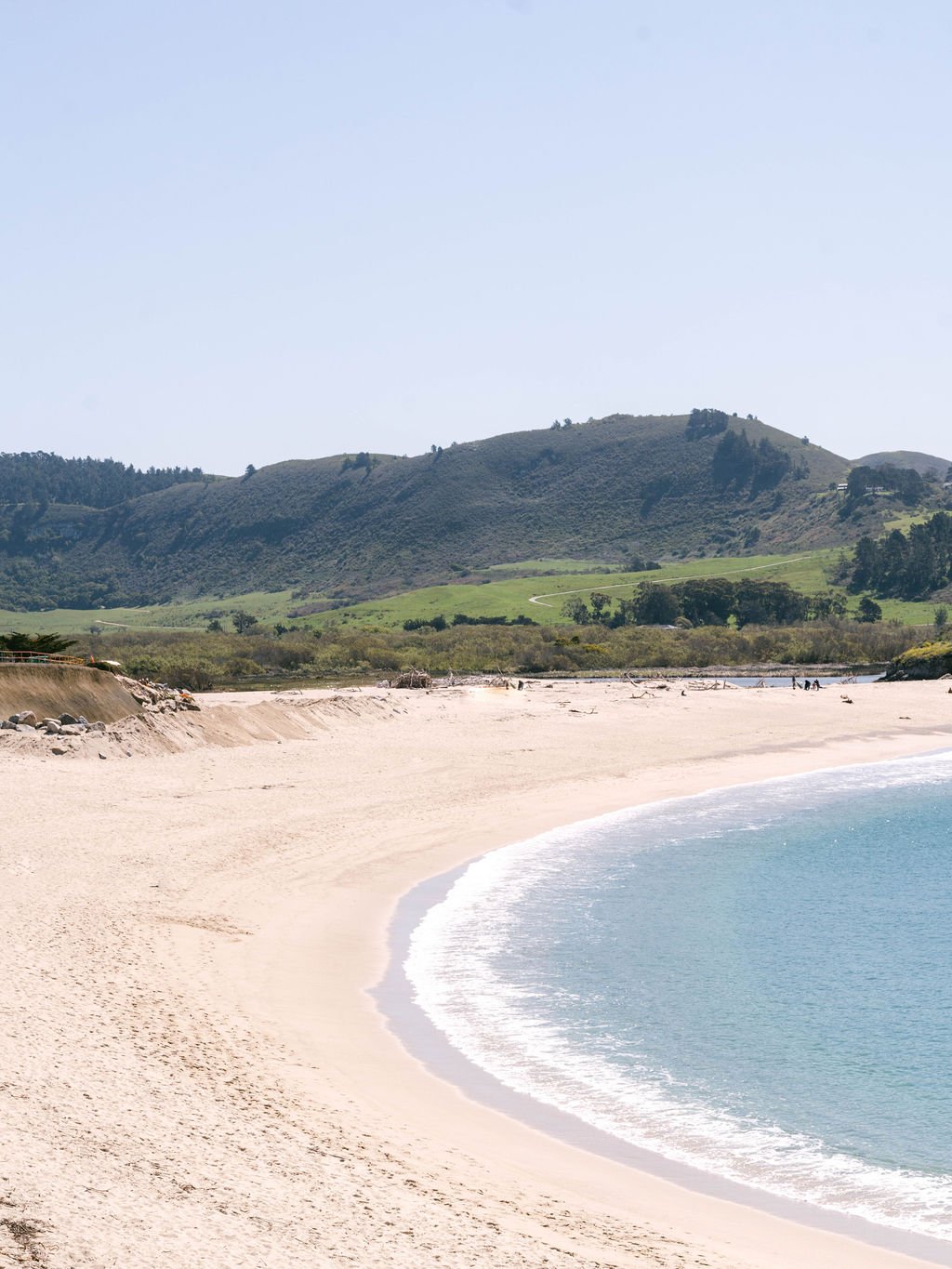 Ellen-Ashton-photography-Carmel-by-the-sea-wedding-photographer392.jpg