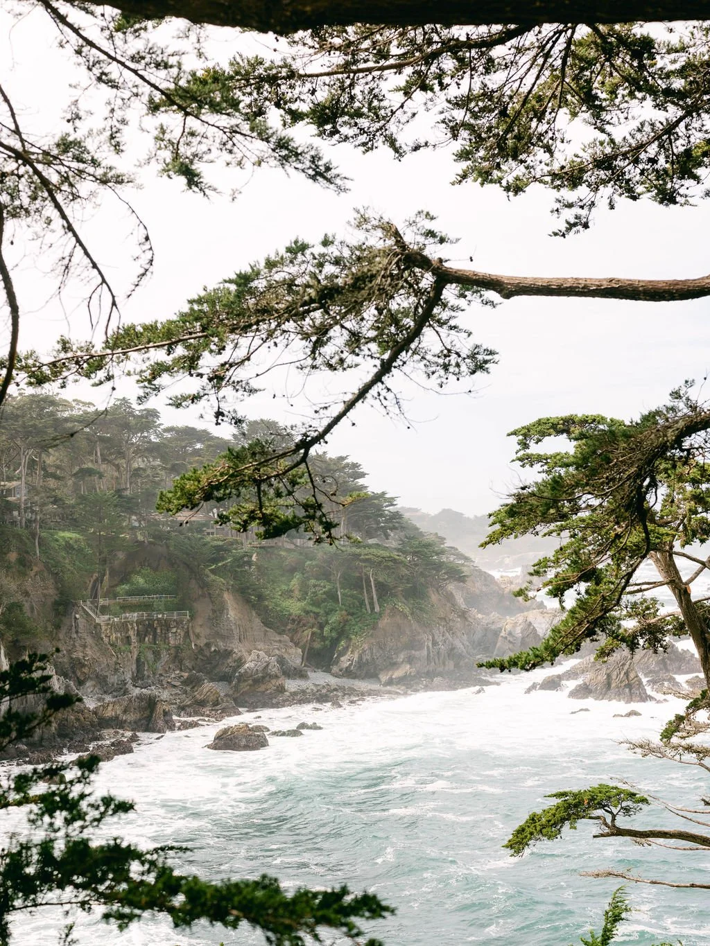 Ellen-Ashton-photography-Carmel-by-the-sea-wedding-photographer394.jpg