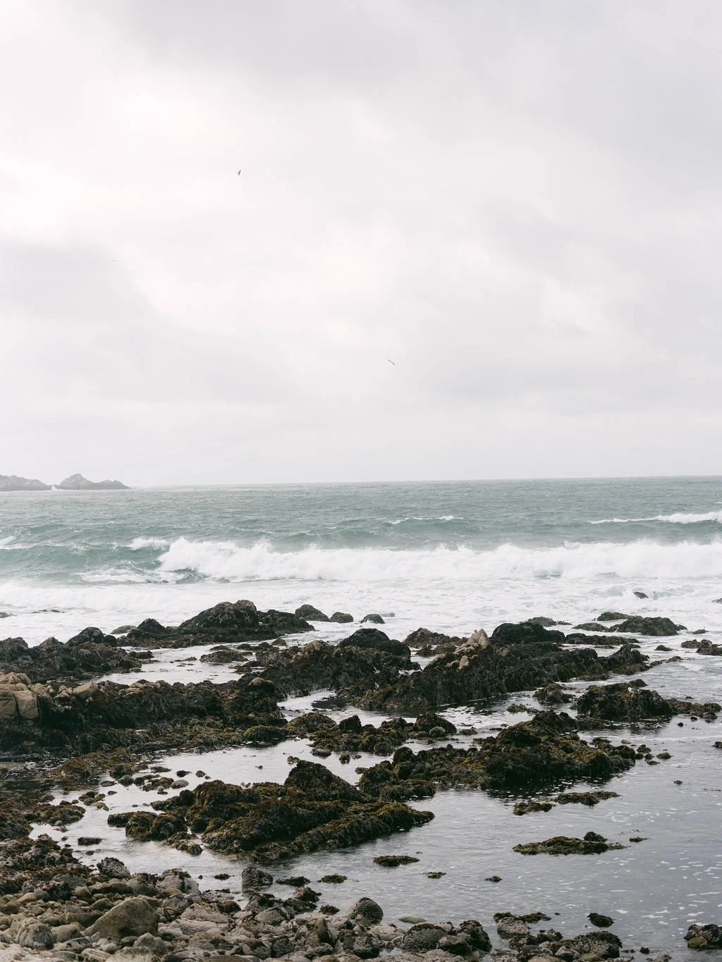 Ellen-Ashton-photography-Carmel-by-the-sea-wedding-photographer404.jpg