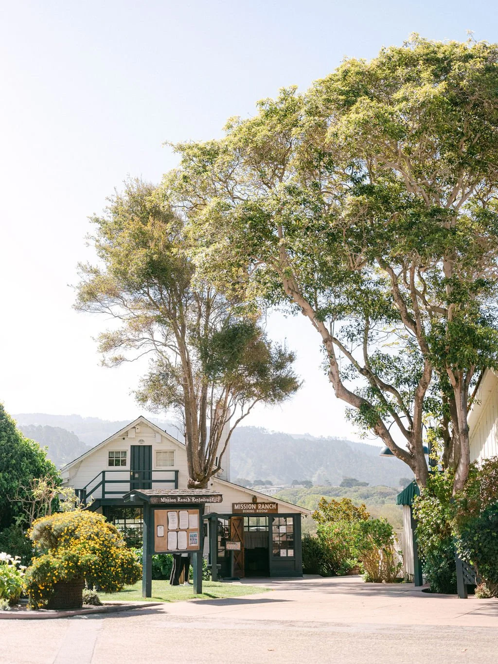 Ellen-Ashton-photography-Carmel-by-the-sea-wedding-photographer442.jpg