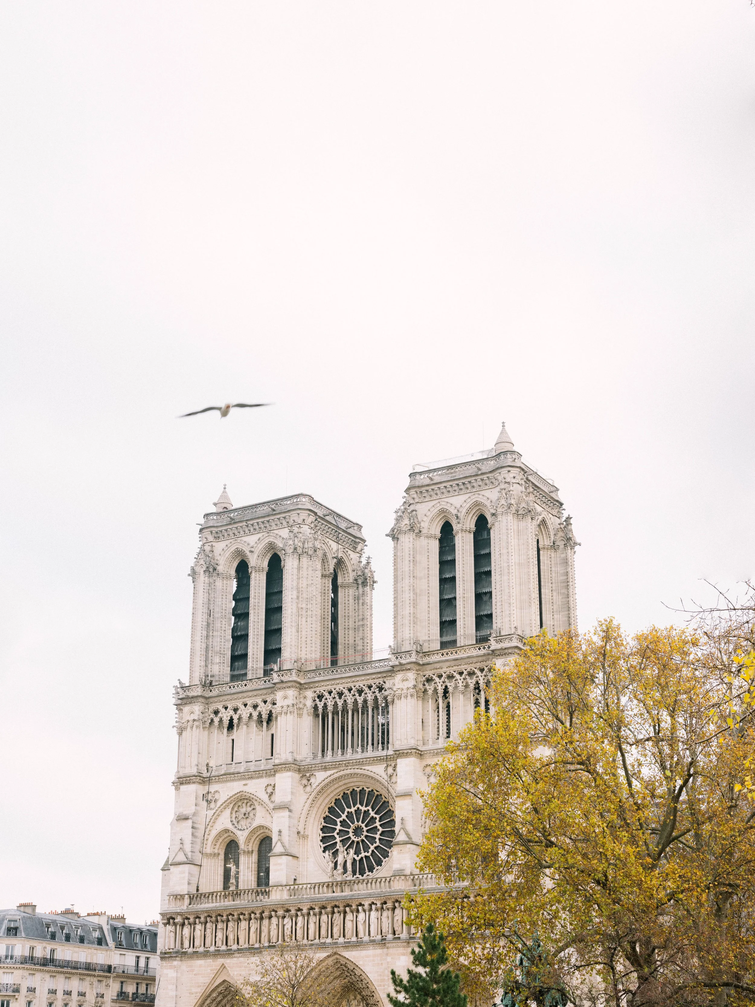 Ellen-Ashton-photography-paris-wedding-photographer-35.jpg