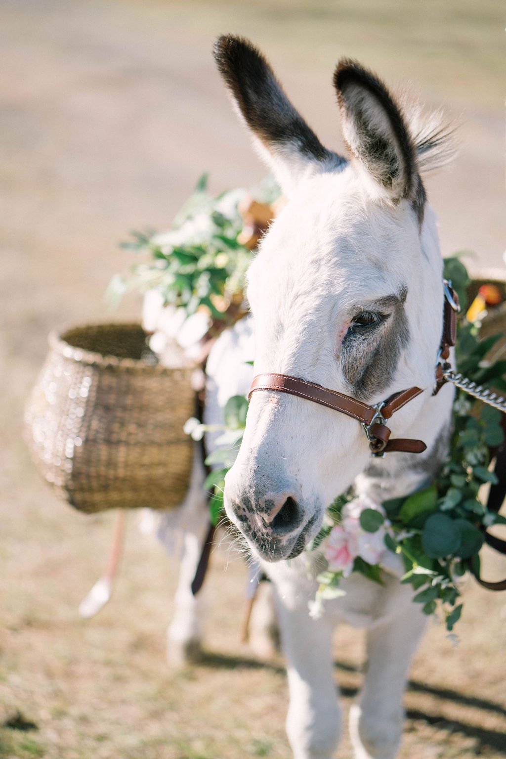 Ellen-Ashton-photography-Dallas-Wedding-Photographers99.jpg