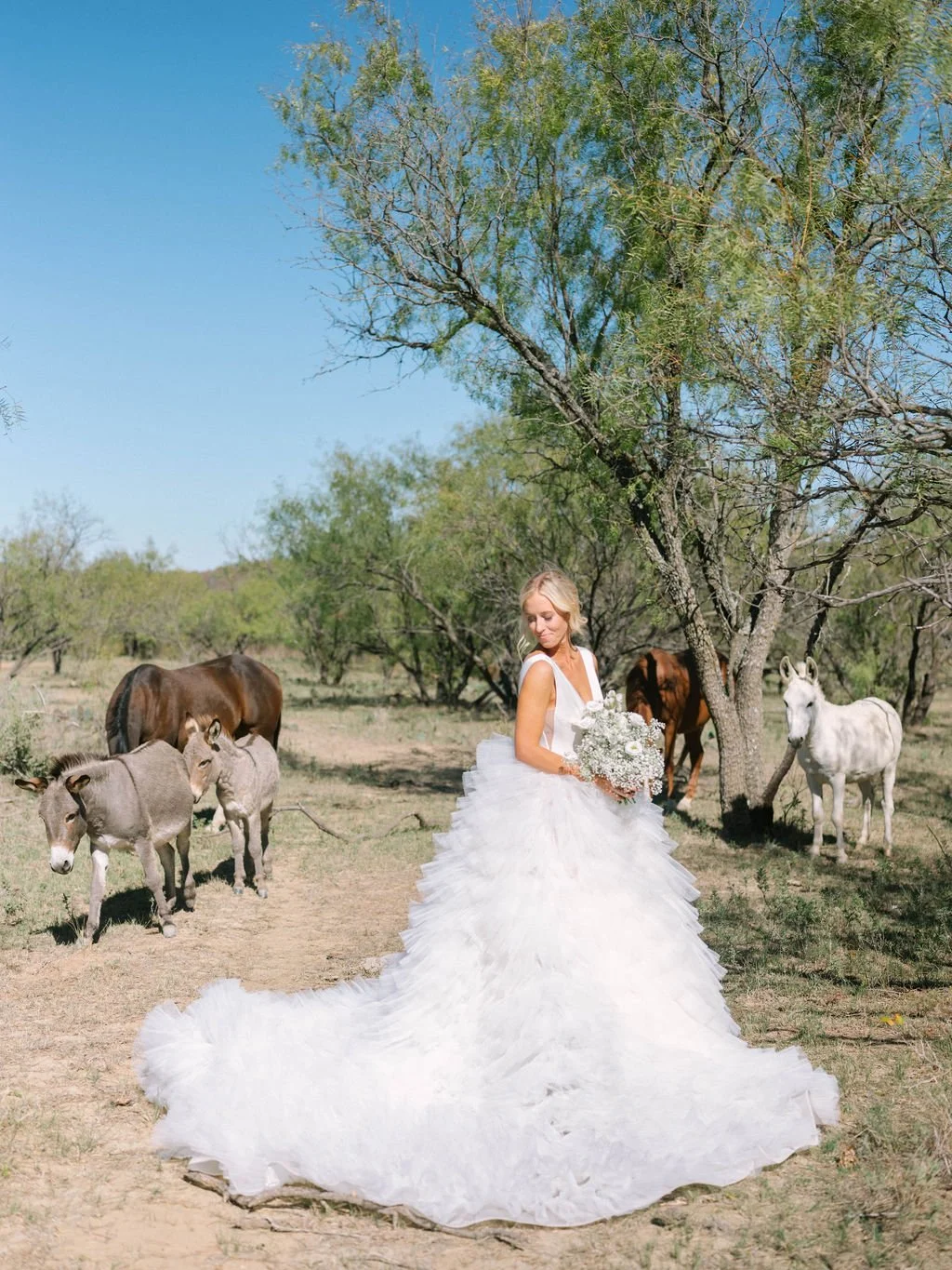 Ellen-Ashton-photography-Dallas-Wedding-Photographers138.jpg