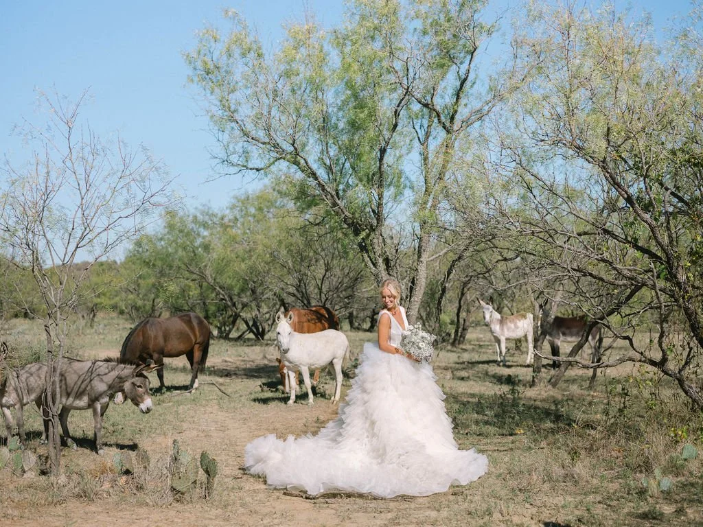 Ellen-Ashton-photography-Dallas-Wedding-Photographers139.jpg