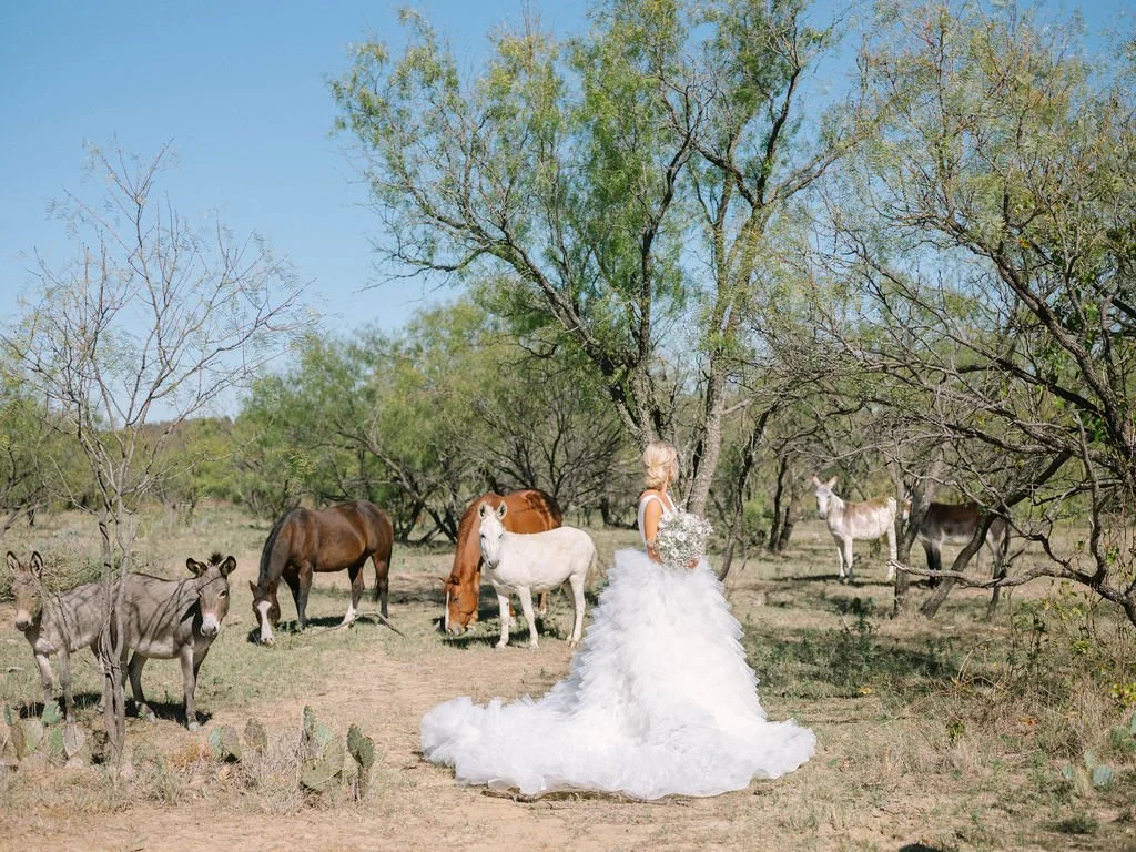 Ellen-Ashton-photography-Dallas-Wedding-Photographers140.jpg