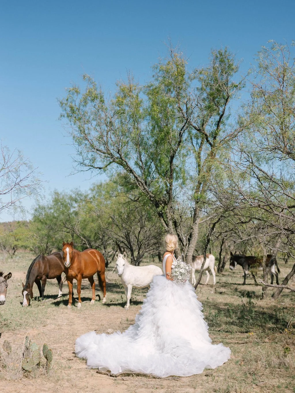 Ellen-Ashton-photography-Dallas-Wedding-Photographers141.jpg