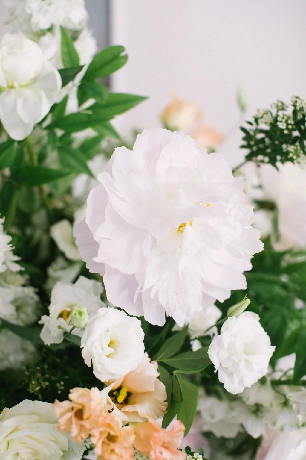 Ellen-Ashton-Photography-Dallas-Wedding-Photographers-Ivory-and-vine-Weddings-251.jpg