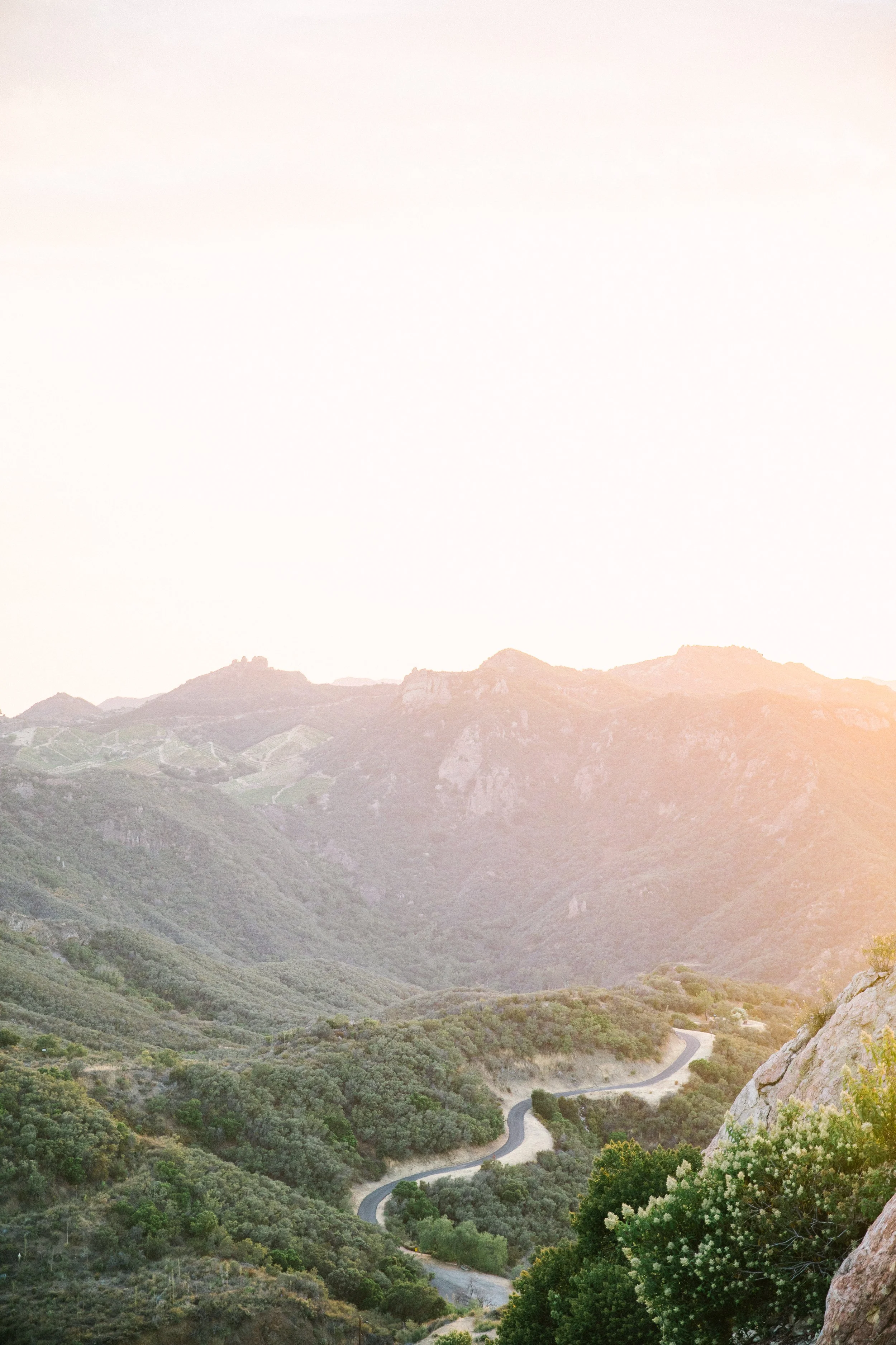 Ellen-Ashton-Photography-California-Wedding-Photographers-Malibu-Rocky-Oaks-Girt-and-Gold175.jpg