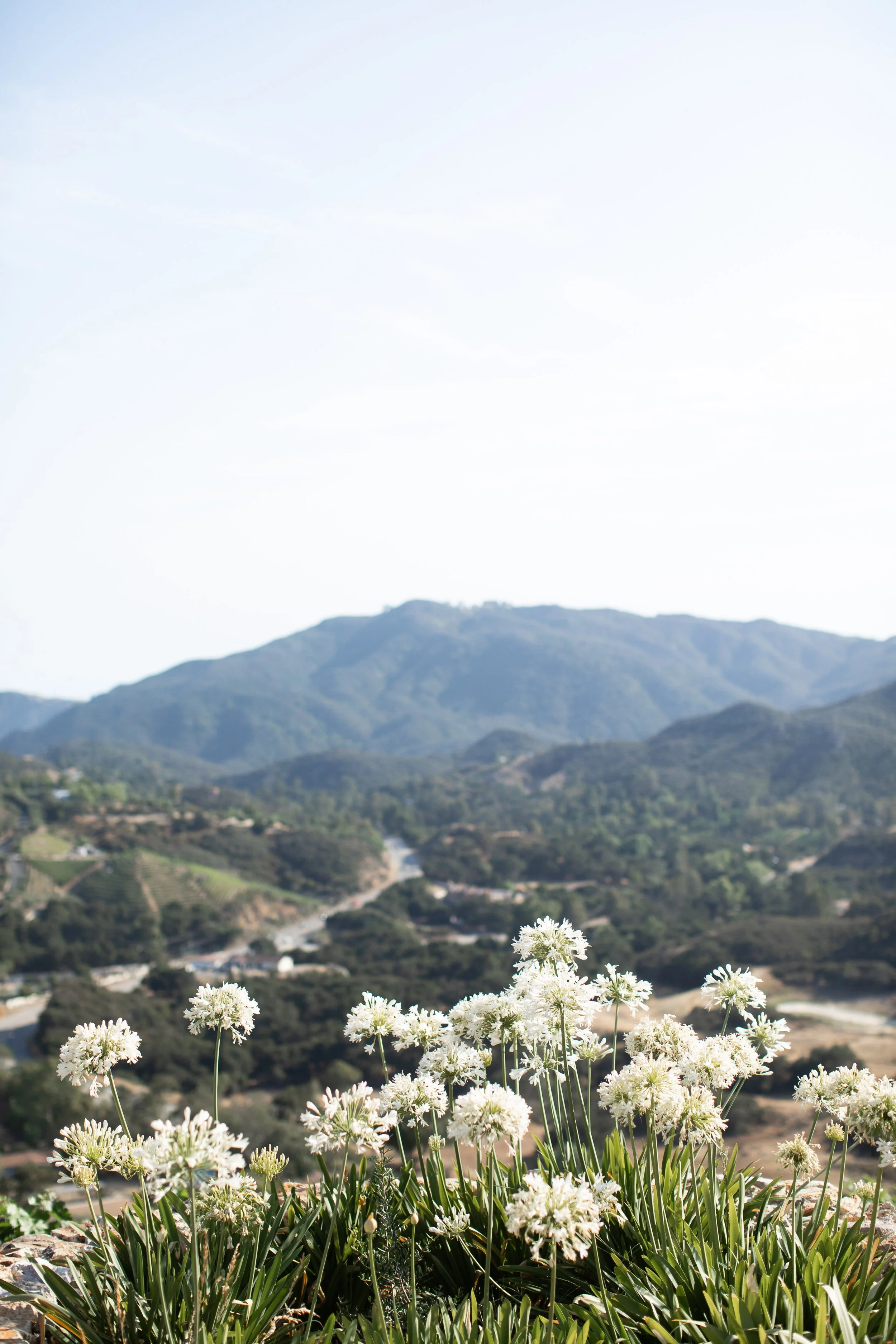 Ellen-Ashton-Photography-California-Wedding-Photographers-Malibu-Rocky-Oaks-Girt-and-Gold210.jpg