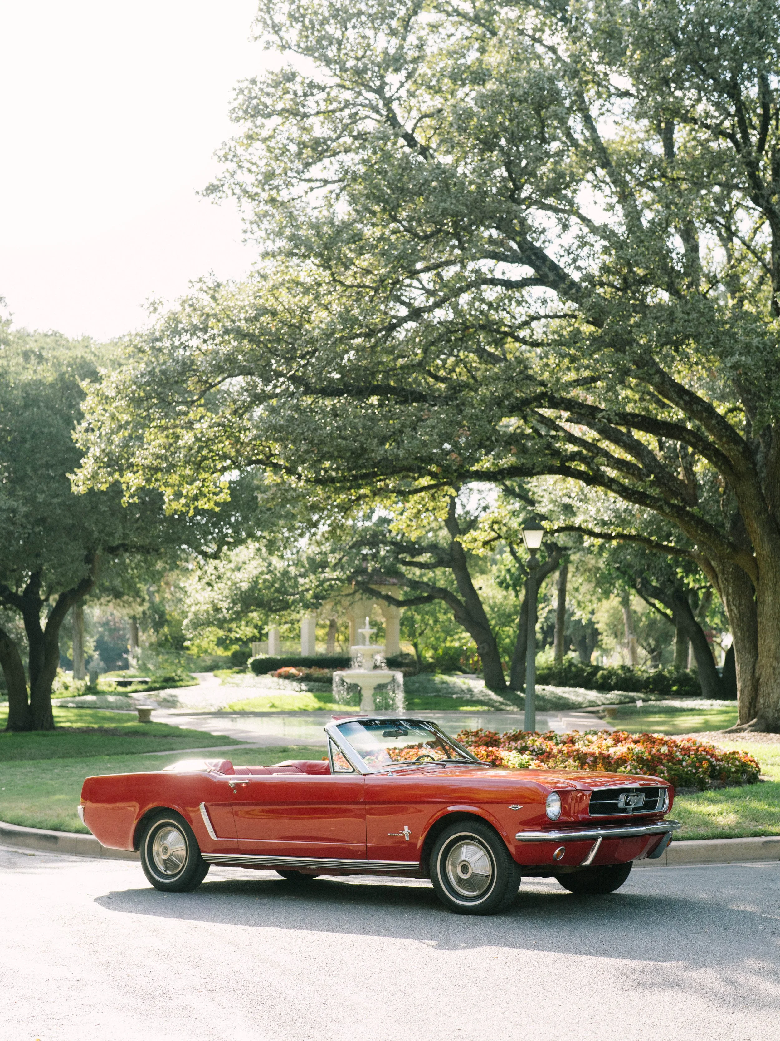 Ellen-Ashton-photography-Dallas-Wedding-photographer-Flippen-park-engagement-session55.jpg