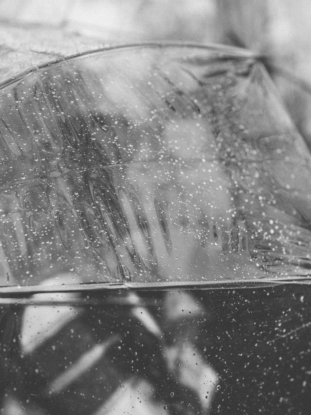 Ellen-Ashton-photography-Dallas-Wedding-Photographer-new-york-engagement-session46.jpg