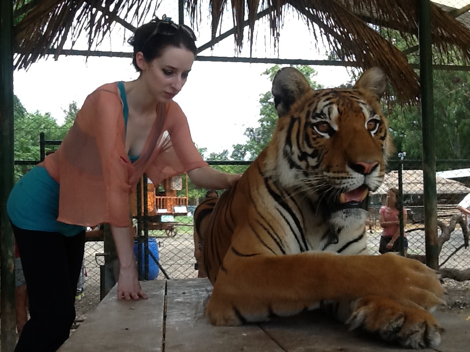 Me petting a tiger