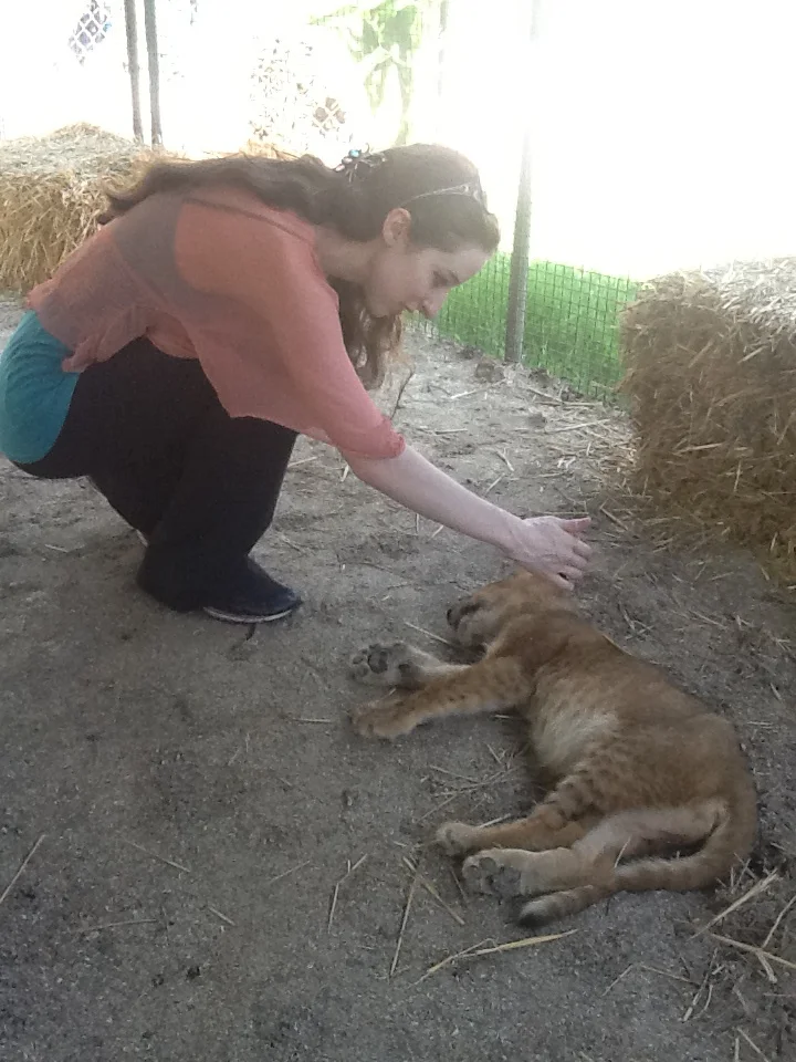 Tango Letra Translated Tango Allison tango letra translated tango allison