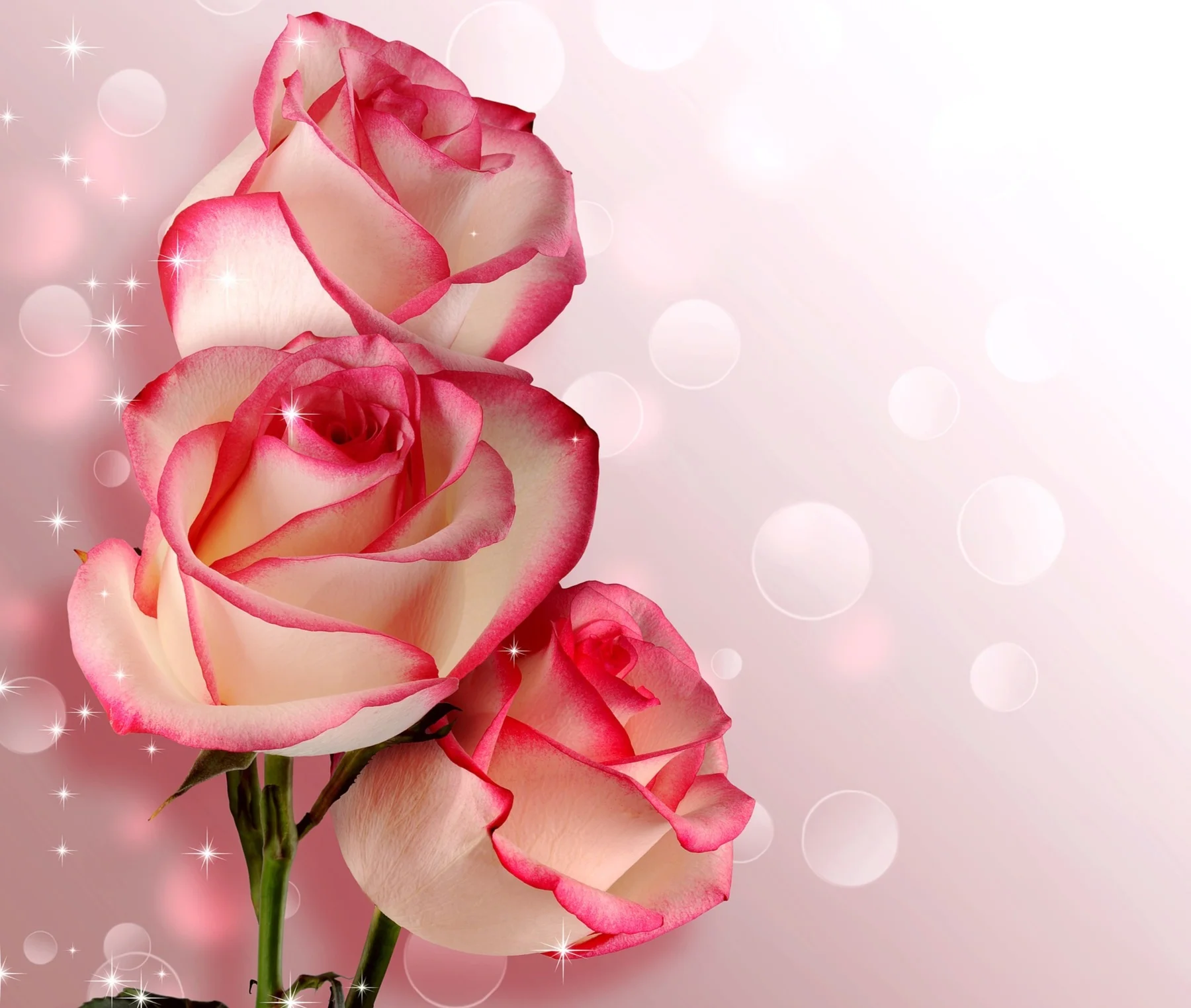 Flores del Alma