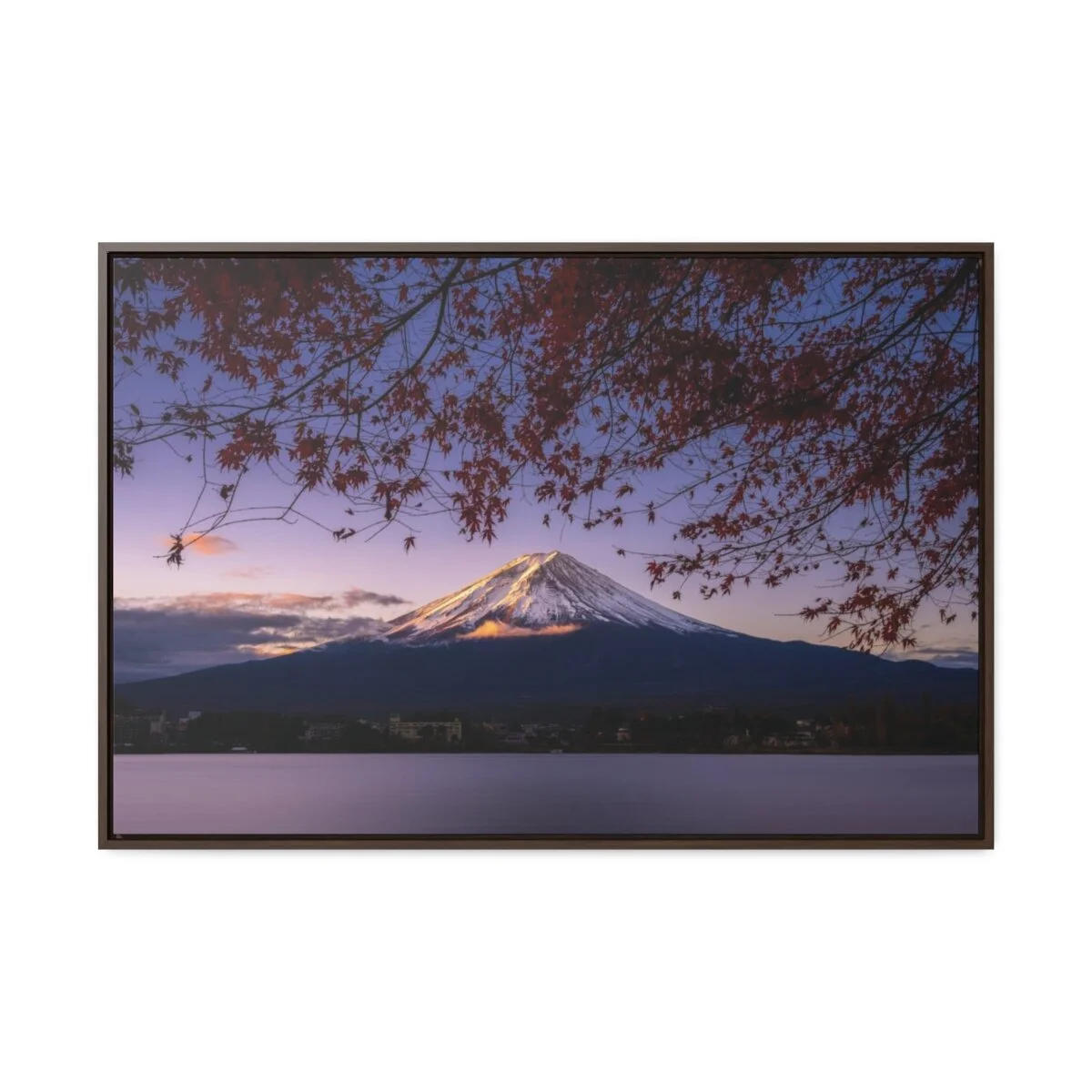 2deefa3695ee04e1c9ad2b04296d077d