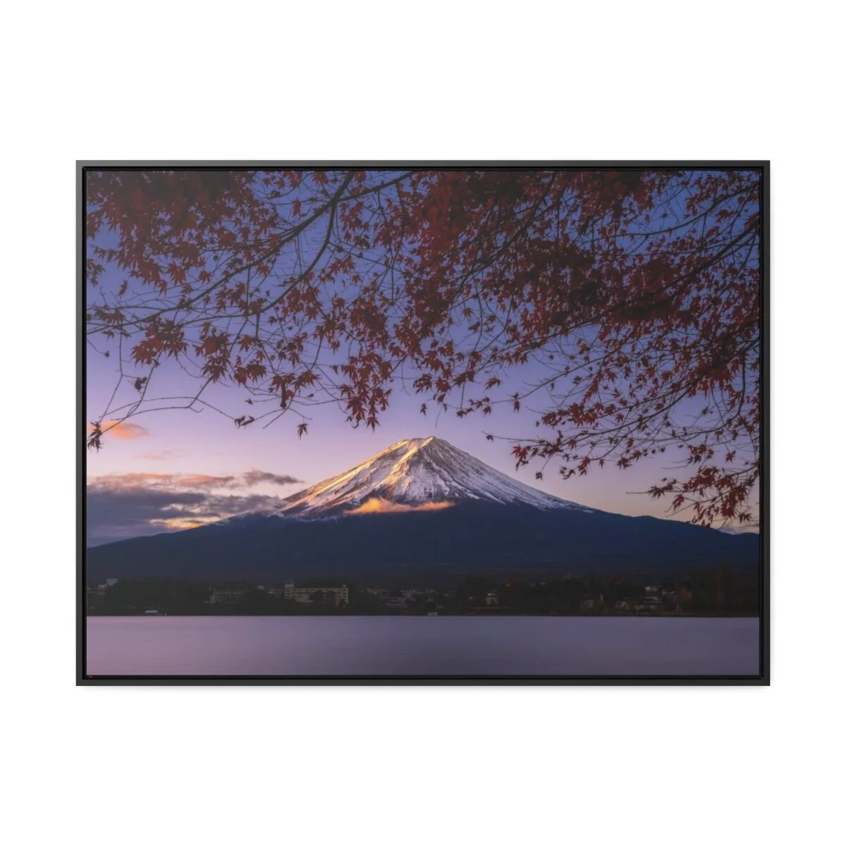 ca5204806e66cd266706044466d15f3d