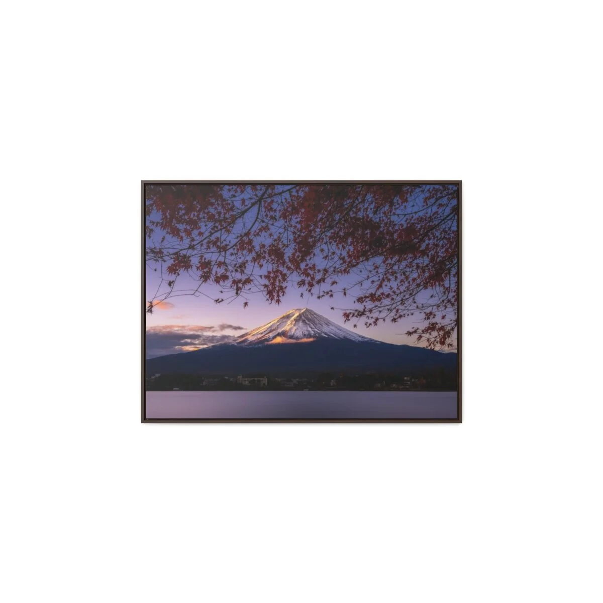 217cba04df1f9c67064a9d1b74b95b6b