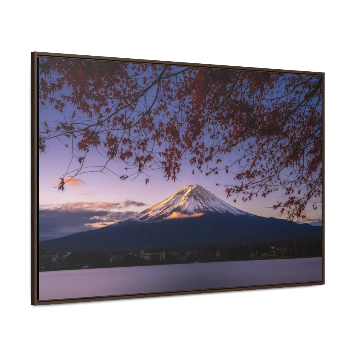 c4d8d5fce4983b203a00dcf8874f3add