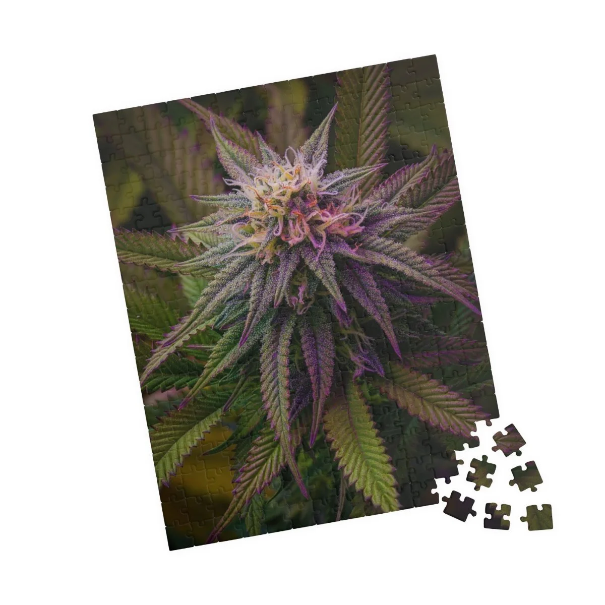 4b37f330ae6e1381d36b729c456d0596