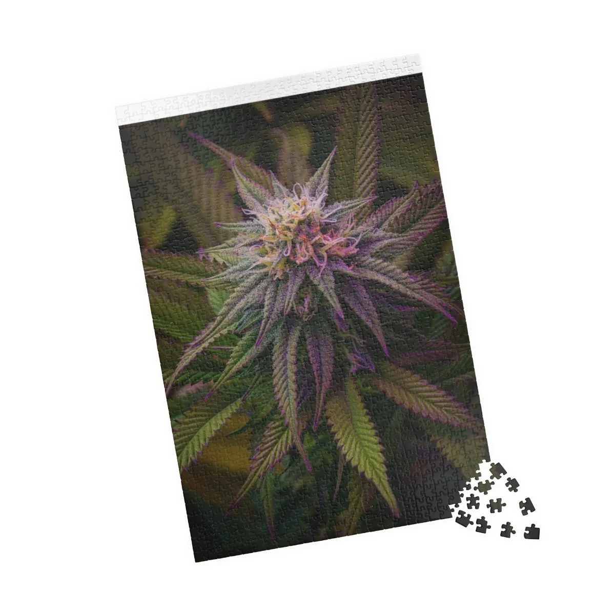 8b6cc7184a7282cdfc771fb8b58c15ce