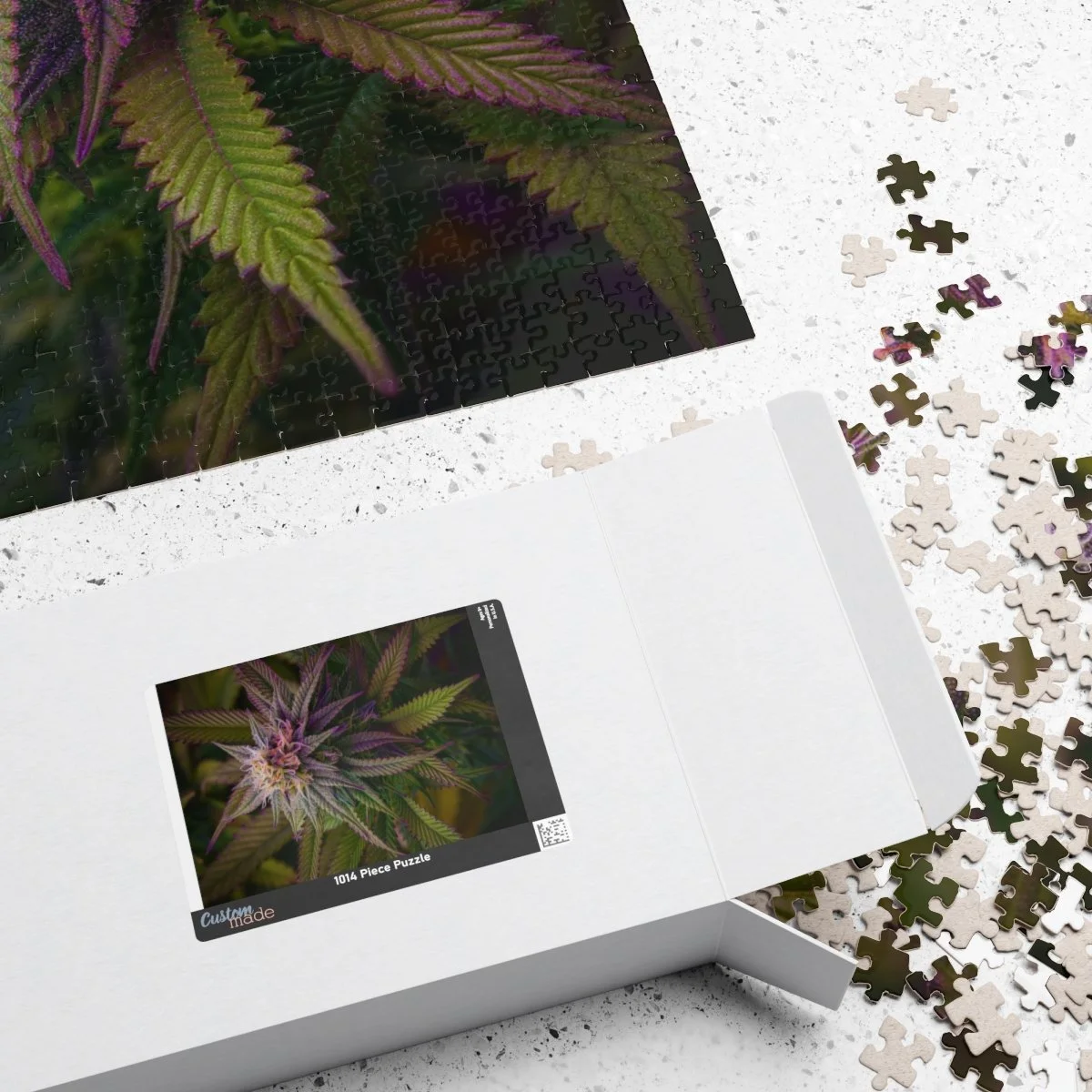 08d29d2c1dffaf14544479b48e88685a