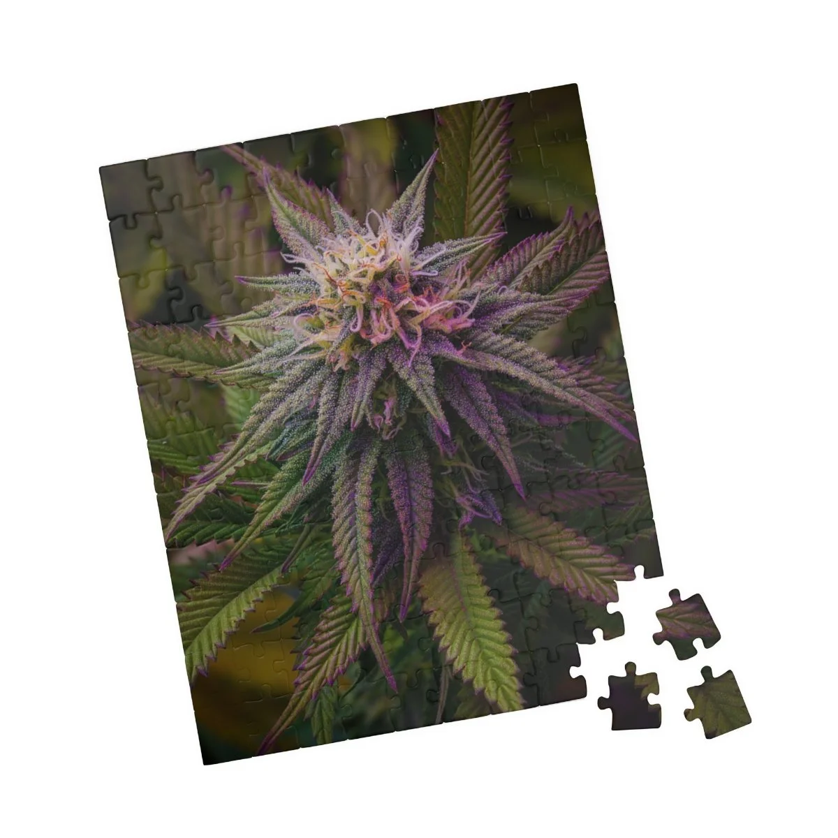 0a6a7429e21d4d1f7dae7f787e234ead